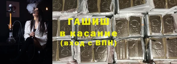 прущие грибы Волоколамск